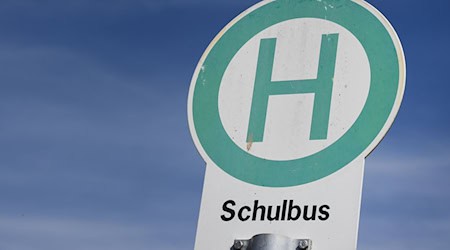 Eine Heckscheibe splitterte bei dem Unfall mit zwei Schulbussen. (Symbolbild) / Foto: Stefan Sauer/dpa