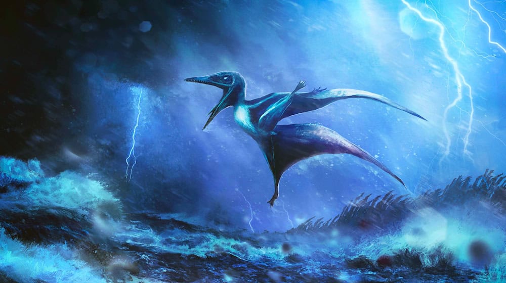 Starke Windböe brechen die zarten Knochen: Künstlerische Darstellung eines kleinen Pterodactylus-Babys in einem Tropengewitter. / Foto: Rudolf Hima/EurekAlert/dpa