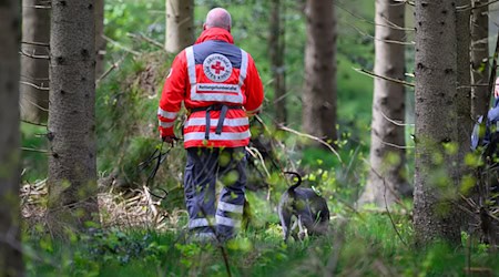 Auch mit Suchhunden suchten die Einsatzkräfte nach dem Vermissten. (Symbolbild) / Foto: Daniel Reinhardt/dpa