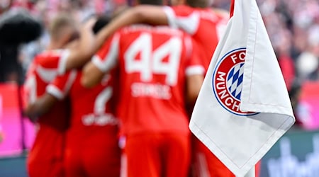 Beim Spiel zwischen dem FC Bayern und dem Hamburger SV gab es in der zweiten Hälfte zwei Notfälle unter Fans. / Foto: Sven Hoppe/dpa