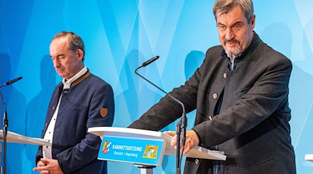 Bayern will seine führende Rolle bei der Entwicklung von Chips ausbauen. (Archivbild) / Foto: Armin Weigel/dpa