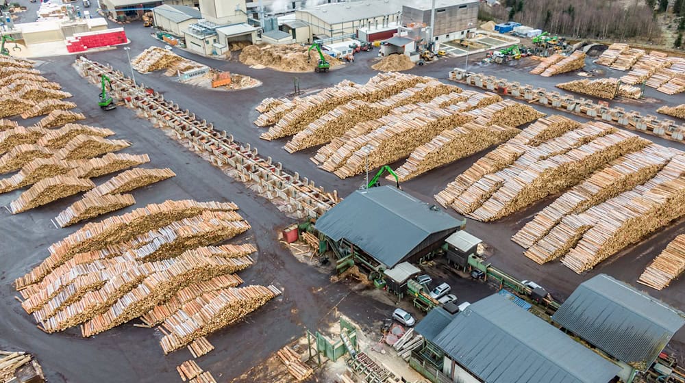 Auch für das Sägewerk in Plößberg hat sich ein Käufer gefunden. (Archivbild) / Foto: Armin Weigel/dpa