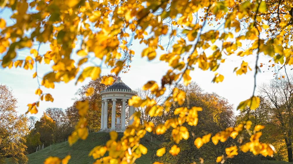 Blick in den Englischen Garten: Die kommenden Tage sollen laut Wetterdienst mild werden.  / Foto: Malin Wunderlich/dpa Blick in den Englischen Garten: Die kommenden Tage sollen laut Wetterdienst mild werden.  / Foto: Malin Wunderlich/dpa