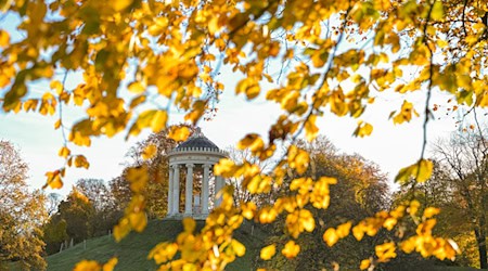Blick in den Englischen Garten: Die kommenden Tage sollen laut Wetterdienst mild werden.  / Foto: Malin Wunderlich/dpa Blick in den Englischen Garten: Die kommenden Tage sollen laut Wetterdienst mild werden.  / Foto: Malin Wunderlich/dpa