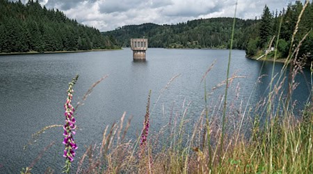 Bei den Plänen zur Stärkung der Fernwasserversorgung in Bayern rückt die Option einer dritten Talsperre, wie hier die Ködeltalsperre in Oberfranken, in den Fokus. (Archivbild) / Foto: Daniel Vogl/dpa Bei den Plänen zur Stärkung der Fernwasserversorgung in Bayern rückt die Option einer dritten Talsperre, wie hier die Ködeltalsperre in Oberfranken, in den Fokus. (Archivbild) / Foto: Daniel Vogl/dpa