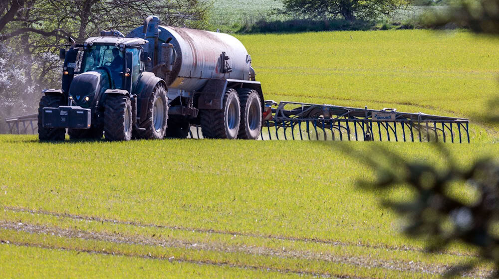 Das Bundesverwaltungsgericht Leipzig prüft, ob die bayerische Düngeverordnung Landwirte zu stark einschränkt. (Archivbild) / Foto: Jens Büttner/dpa