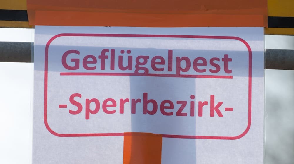 Auch bayerische Behörden warnen vor der Vogelgrippe. (Symbolbild) / Foto: Armin Weigel/dpa Auch bayerische Behörden warnen vor der Vogelgrippe. (Symbolbild) / Foto: Armin Weigel/dpa