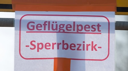 Auch bayerische Behörden warnen vor der Vogelgrippe. (Symbolbild) / Foto: Armin Weigel/dpa Auch bayerische Behörden warnen vor der Vogelgrippe. (Symbolbild) / Foto: Armin Weigel/dpa