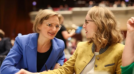 Grünen-Chefin Brantner warf der schwarz-roten Bundesregierung vor, die wichtigen Probleme des Landes nicht lösen zu können.  / Foto: Daniel Löb/dpa Grünen-Chefin Brantner warf der schwarz-roten Bundesregierung vor, die wichtigen Probleme des Landes nicht lösen zu können.  / Foto: Daniel Löb/dpa