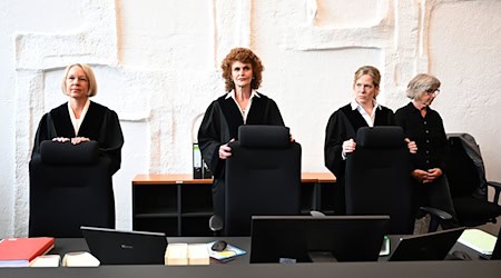 Die Kammer wird von Hannas Eltern scharf kritisiert (Archiv).  / Foto: Felix Hörhager/dpa