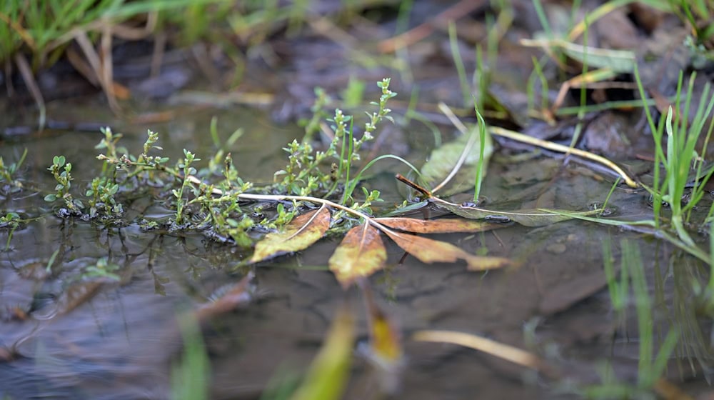 Regenschirm nicht vergessen: In einigen Regionen Bayerns kann es noch nass werden. / Foto: Malin Wunderlich/dpa