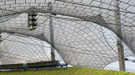 Das Zeltdach im Olympiapark ist in die Jahre gekommen und wird nun saniert. (Archivbild) / Foto: picture alliance / dpa