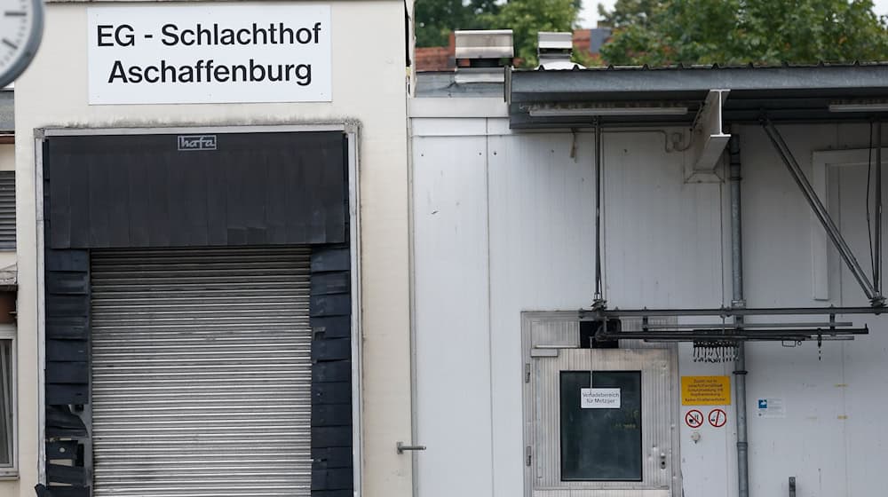 Wegen quälerischer Tiermisshandlung ermittelt die Staatsanwaltschaft Aschaffenburg gegen zehn Beschuldigte. (Archivbild) / Foto: Heiko Becker/dpa