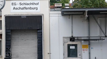 Wegen quälerischer Tiermisshandlung ermittelt die Staatsanwaltschaft Aschaffenburg gegen zehn Beschuldigte. (Archivbild) / Foto: Heiko Becker/dpa