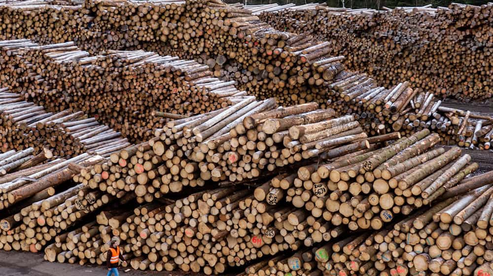Konkursverschleppung steht als möglicher Straftatbestand im Raum. (Symbolbld)  / Foto: Armin Weigel/dpa