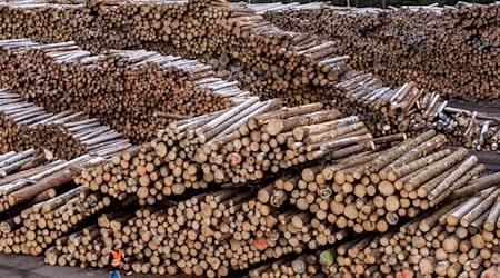 Konkursverschleppung steht als möglicher Straftatbestand im Raum. (Symbolbld)  / Foto: Armin Weigel/dpa Konkursverschleppung steht als möglicher Straftatbestand im Raum. (Symbolbld)  / Foto: Armin Weigel/dpa