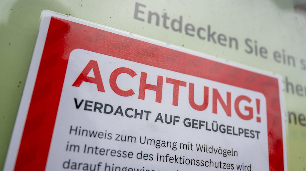 Für Menschen besteht keine besondere Gefahr. (Symbolfoto) / Foto: Christophe Gateau/dpa