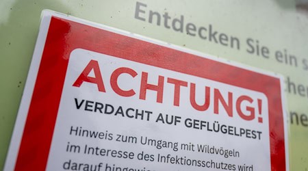 Für Menschen besteht keine besondere Gefahr. (Symbolfoto) / Foto: Christophe Gateau/dpa