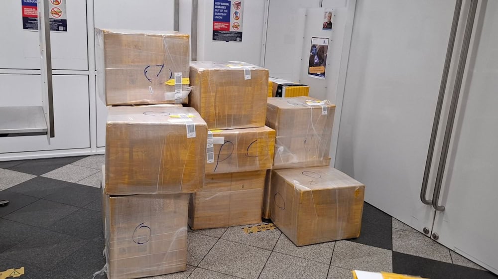 Die Kisten erregten die Aufmerksamkeit der Zöllner.  / Foto: Zoll/Hauptzollamt München/dpa