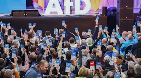 In der Bayern-AfD rumort es - mal wieder. (Archivbild) / Foto: Daniel Löb/dpa