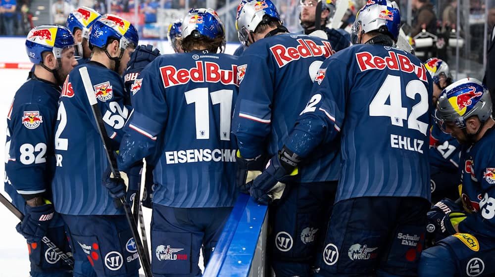 Bekommen künftig noch einen vierten Torhüter: Die Eishockey-Profis des EHC Red Bull München. (Archivfoto) / Foto: Sven Hoppe/dpa
