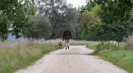 Es wird herbstlich in Bayern. (Symbolbild) / Foto: Armin Weigel/dpa