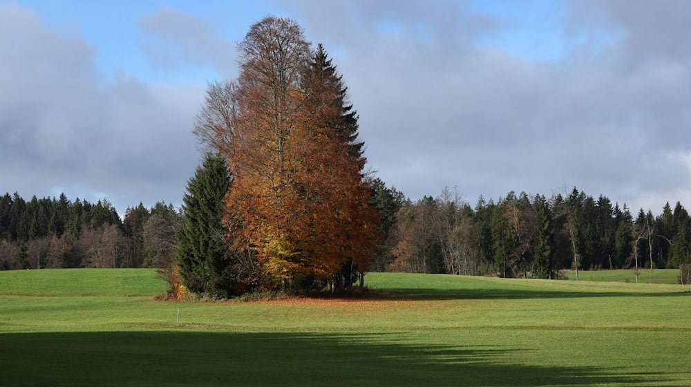 Der Herbst bringt für die Menschen in Bayern die nächsten Tage milde Temperaturen. (Archivbild) / Foto: Karl-Josef Hildenbrand/dpa Der Herbst bringt für die Menschen in Bayern die nächsten Tage milde Temperaturen. (Archivbild) / Foto: Karl-Josef Hildenbrand/dpa