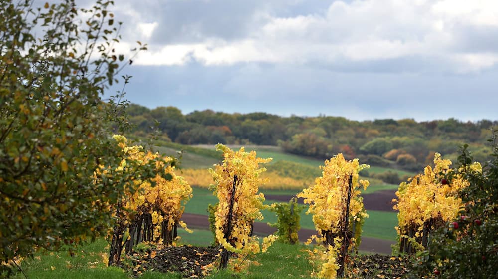 Wolken trüben den goldenen Herbst in Bayern in den kommenden Tagen. / Foto: Karl-Josef Hildenbrand/dpa