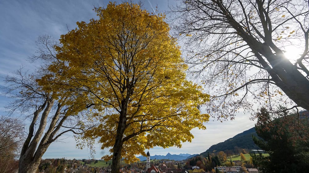 In Bayern bringt das Wetter ordentlich Nebel und ein wenig Sonne mit. (Symbolbild) / Foto: Stefan Puchner/dpa