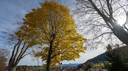 In Bayern bringt das Wetter ordentlich Nebel und ein wenig Sonne mit. (Symbolbild) / Foto: Stefan Puchner/dpa