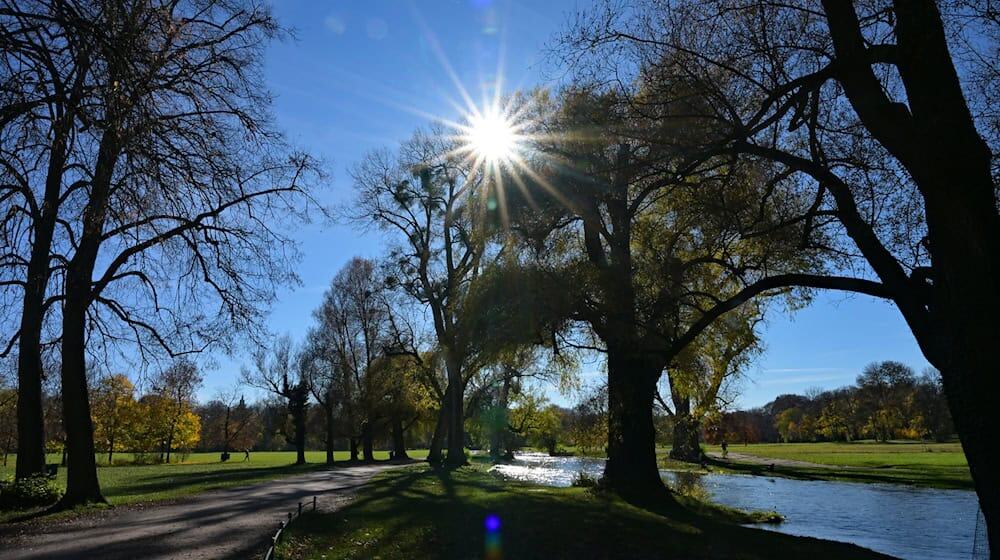 Die Sonne scheint durch Bäume im Englischen Garten: In Bayern soll es in den kommenden Tagen sonnig und mild werden. (Archivbild) / Foto: Malin Wunderlich/dpa