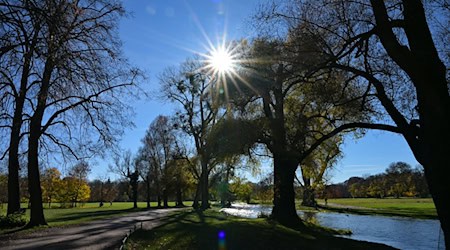 Die Sonne scheint durch Bäume im Englischen Garten: In Bayern soll es in den kommenden Tagen sonnig und mild werden. (Archivbild) / Foto: Malin Wunderlich/dpa