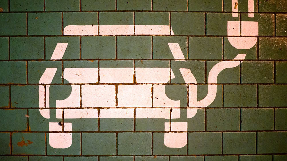 Bayernweit gab es Anfang Oktober knapp 35.000 öffentliche Ladepunkte. (Symbolbild) / Foto: Julian Stratenschulte/dpa