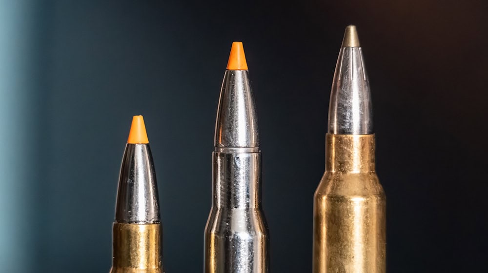 Jagdpatronen im Kaliber 308 Winchester (l-r), 30-06 Springfield und 300 Winchester Magnum stehen bei einem Jäger auf einem Waffenschrank. (Symbolbild) / Foto: Silas Stein/dpa