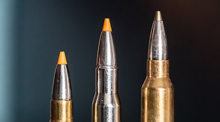 Jagdpatronen im Kaliber 308 Winchester (l-r), 30-06 Springfield und 300 Winchester Magnum stehen bei einem Jäger auf einem Waffenschrank. (Symbolbild) / Foto: Silas Stein/dpa