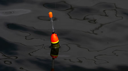 Einen 34 Zentimeter großen lebenden Fisch fand die Polizei an der Angel des Jugendlichen. (Symbolbild) / Foto: Stefan Sauer/dpa