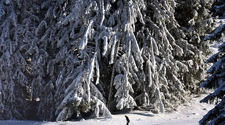 Die niedrigen Temperaturen samt Schneefall im Allgäu ließen zuletzt einen frühen Start in die Skisaison zu. (Archivbild) / Foto: Karl-Josef Hildenbrand/dpa