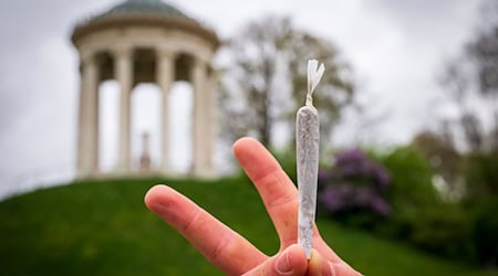 Kiffen verboten? Darüber muss der Verwaltungsgerichtshof entscheiden (Archiv).  / Foto: Peter Kneffel/dpa