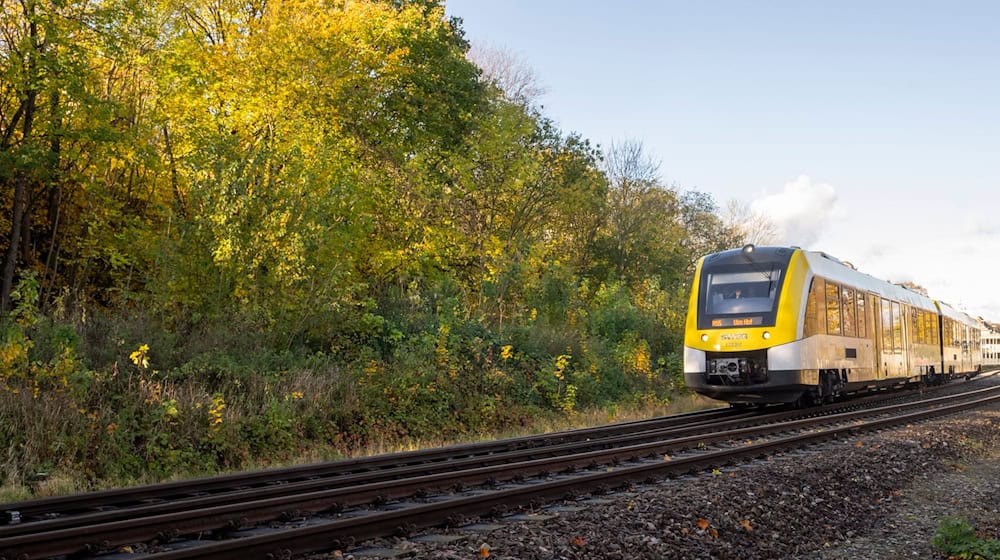Geplant sind mehr Halte und Züge. (Archivbild)  / Foto: Stefan Puchner/dpa