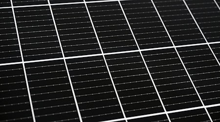 Die Entsorgung solcher Module ist sehr kostenintensiv. (Symbolbild) / Foto: Lilli Förter/dpa