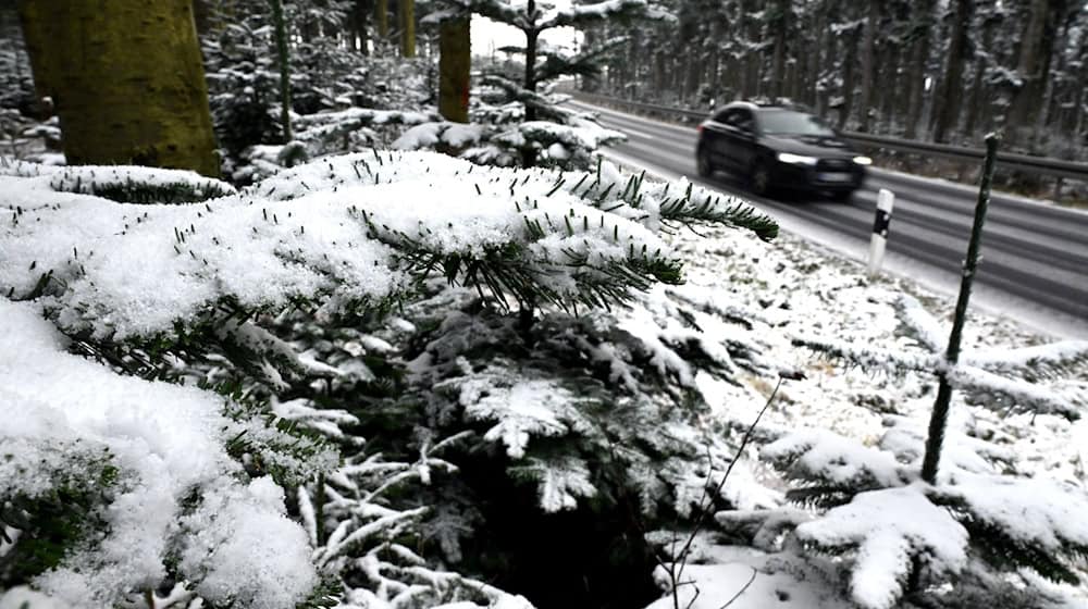 Nicht nur im Sauerland fielen zu Wochenbeginn erste Schneeflocken. / Foto: Federico Gambarini/dpa