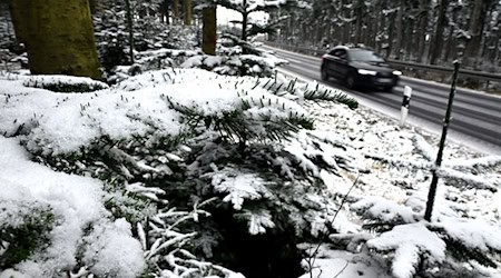 Nicht nur im Sauerland fielen zu Wochenbeginn erste Schneeflocken. / Foto: Federico Gambarini/dpa