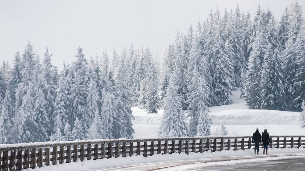 Die Panoramastraße ist ein bekanntes Fotomotiv – und auch zum Driften bei Schnee beliebt. (Symbolbild) / Foto: Lino Mirgeler/dpa