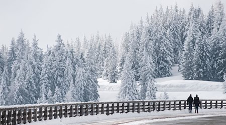 Die Panoramastraße ist ein bekanntes Fotomotiv – und auch zum Driften bei Schnee beliebt. (Symbolbild) / Foto: Lino Mirgeler/dpa