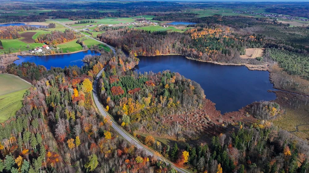 Hier sollte ein neues Schutzgebiet entstehen, das nun gestoppt wurde.  / Foto: Felix Kästle/dpa
