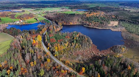 Hier sollte ein neues Schutzgebiet entstehen, das nun gestoppt wurde.  / Foto: Felix Kästle/dpa