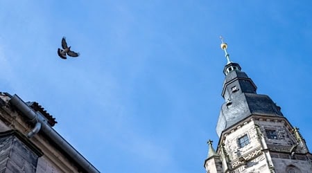 Für evangelische Christen hat der Buß- und Bettag eine große Bedeutung. (Symbolbild) / Foto: Pia Bayer/dpa