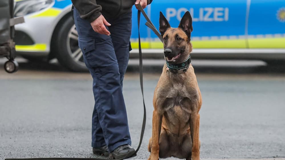 Wegen des Umfangs und der Art der Ladung wurde das Auto bei einer Dienststelle detailliert kontrolliert und mit einem Diensthund durchsucht. (Symbolbild) / Foto: Jan Woitas/dpa