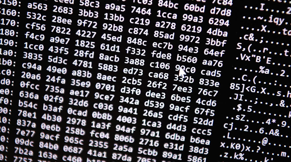 Die Ermittler vermuten eine hohe Dunkelziffer bei Opfern des Cyberbetrugs. (Symbolbild) / Foto: Nicolas Armer/dpa