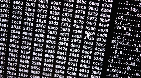 Die Ermittler vermuten eine hohe Dunkelziffer bei Opfern des Cyberbetrugs. (Symbolbild) / Foto: Nicolas Armer/dpa